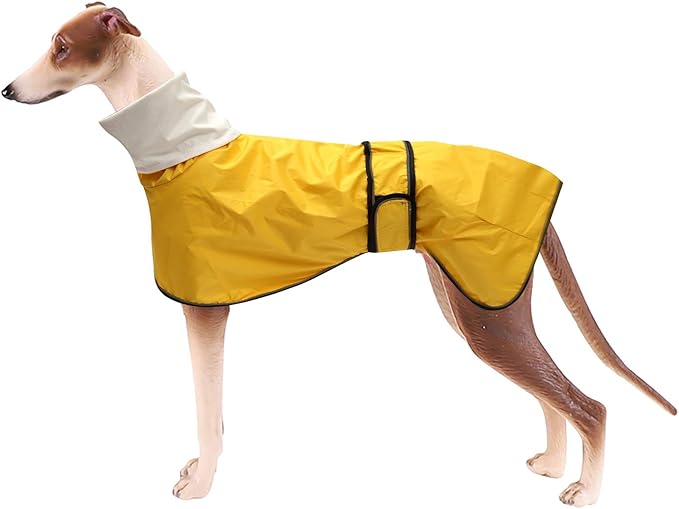Greyhound Raincoat with Reflective Trim, Waterproof, Adjustable Vest Stylish Premium Dog