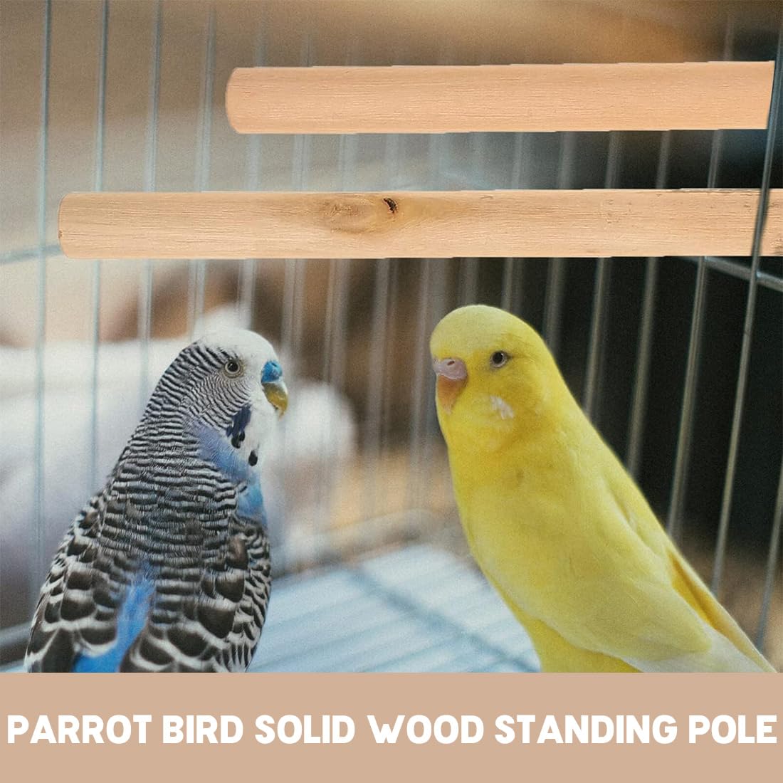 6 Pezzi Posatoio per Pappagalli, Posatoi in Legno di Uccelli, Giochi per Giocattoli per Pappagalli Accessorio per Gabbia per Uccelli per Cacatua, Parrocchetto