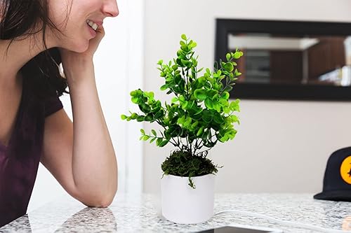 Miniatura 7 de Musgo artificial falso para plantas en maceta, musgo verde (4 onzas), decoración del hogar, hadas, jardín, manualidades, decoración de boda (verde