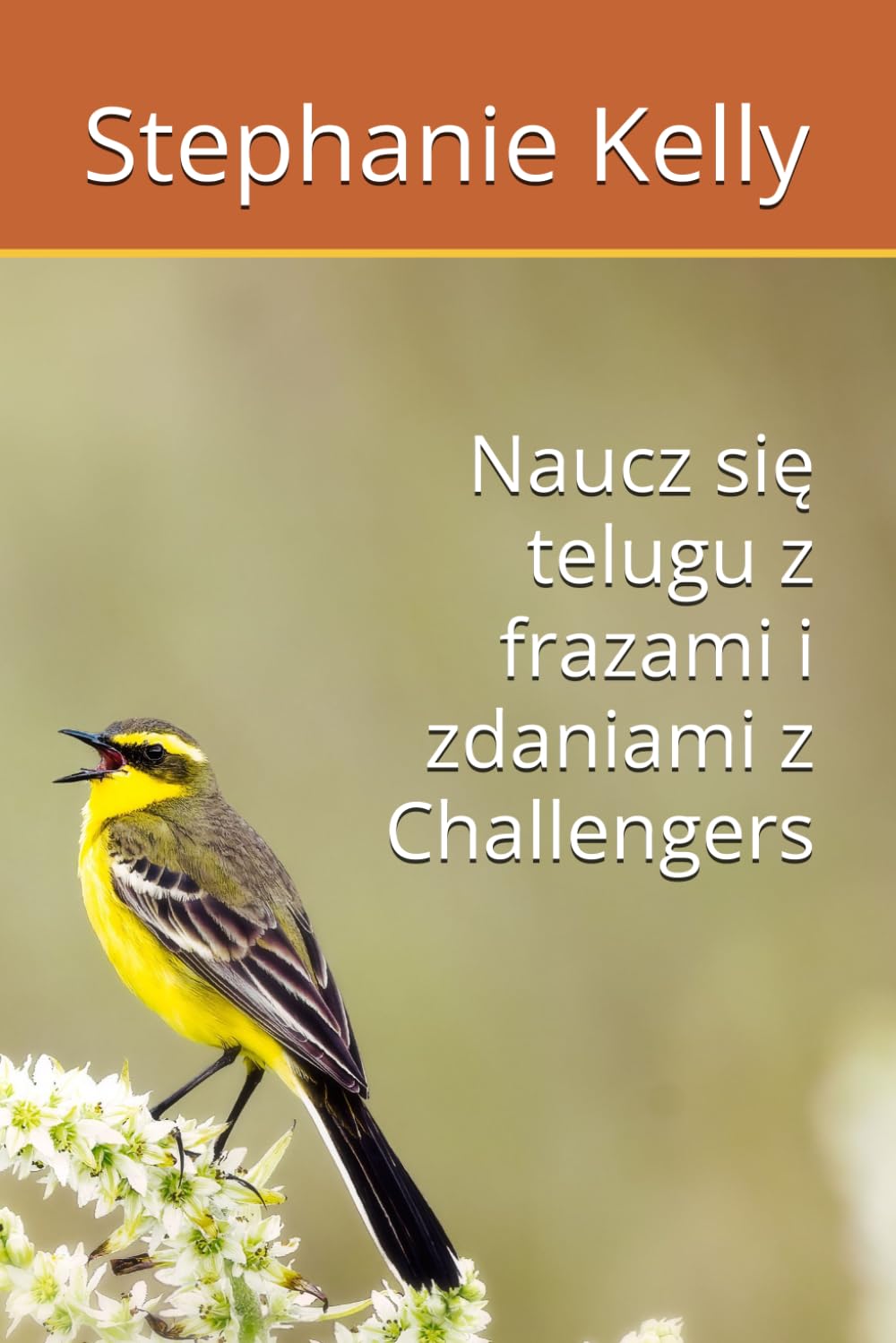 Naucz się telugu z frazami i zdaniami z Challengers