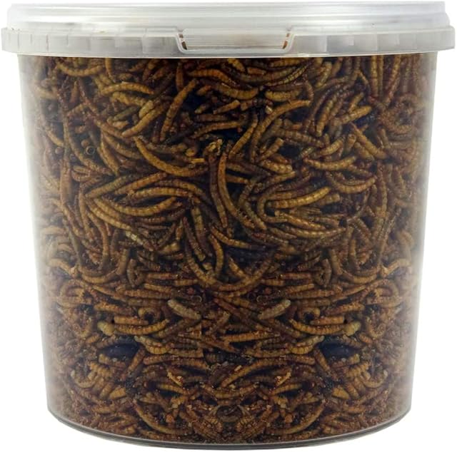 SQUAWK Dried Mealworms | Premium Garden Wild Bird Food Mix Balanced Formula | Protein-Rich, Great Source of Energy | Contains Beneficial Mixed Vitamins | Large Variety (1L)