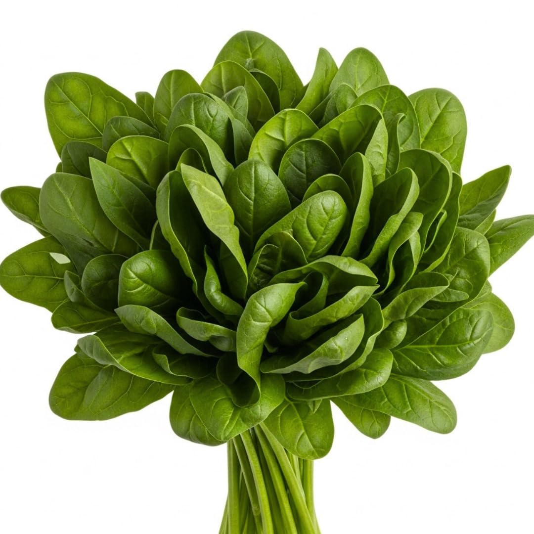Amazon.com : 200+ Spinach Seeds for Planting | Space Hybrid