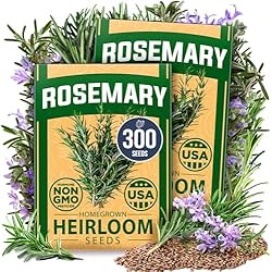 Amazon.com : HOME GROWN 4-Pack Herb Seeds Bundle – 15 Culinary