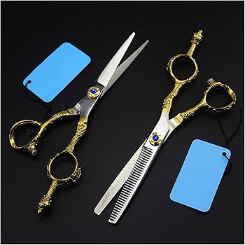 61FbipMmqfS._AC_UF350,