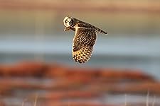 Review Image by Elise Elise