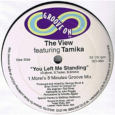 The View Featuring Tamika / You Left Me Standing