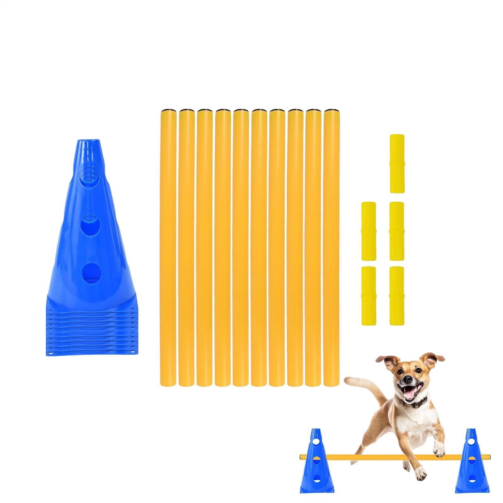 Équipement d'entraînement pour chien pour jouer et s'exercer en famille dans le jardin