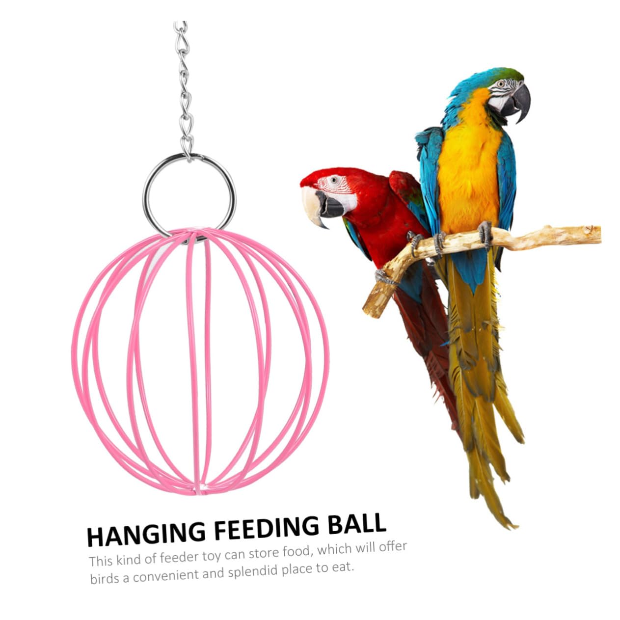 Beavorty 12stücke Teiliges Set Mit Hängenden Futterbällen Für Hamster Interaktives Spielzeug Für Kleintiere Langlebig Und Zufälligen Farben Für Fütterung Und Beschäftigung