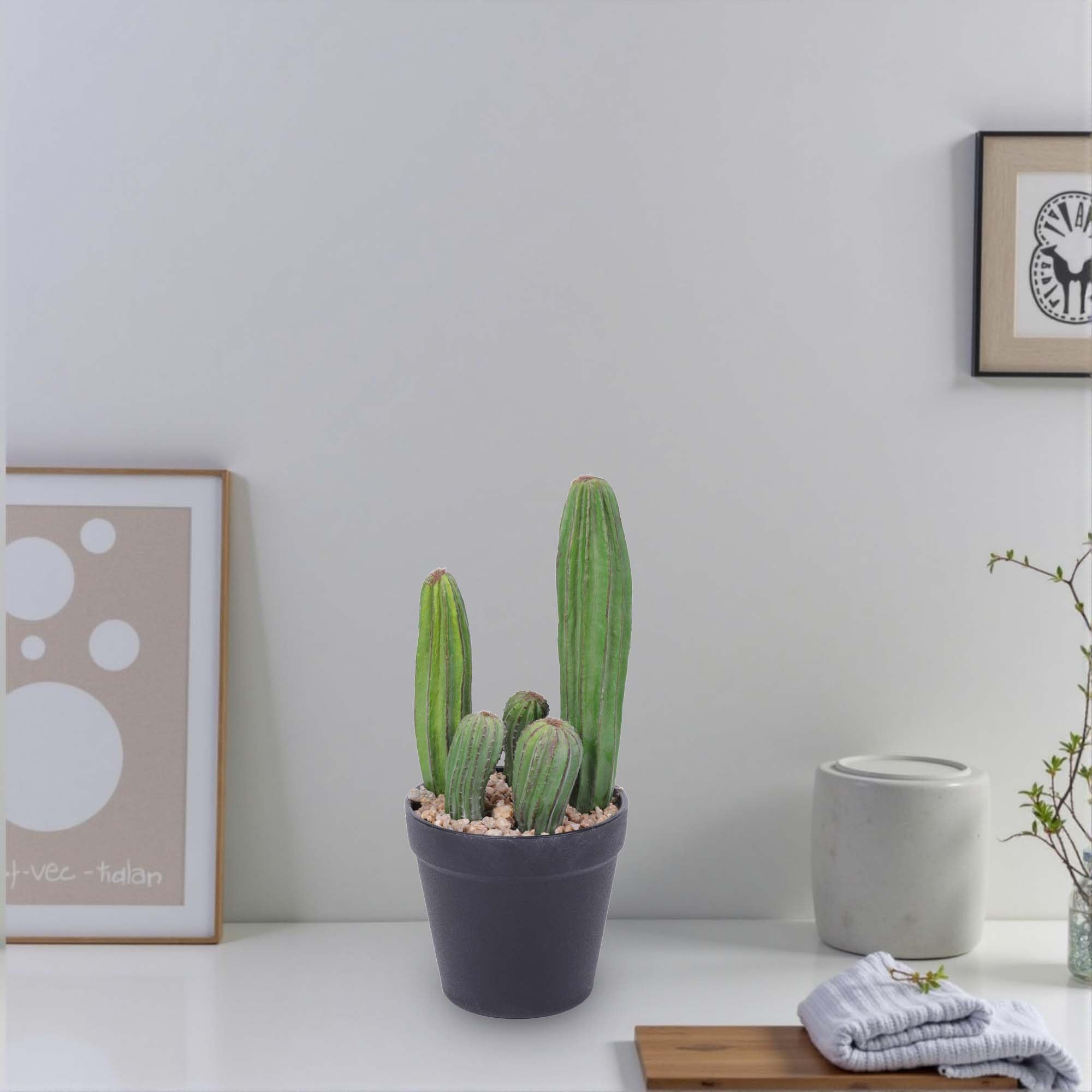 Yinleus Artificial Cactus 11inch/28CM Faux Cactus Fake Cactus