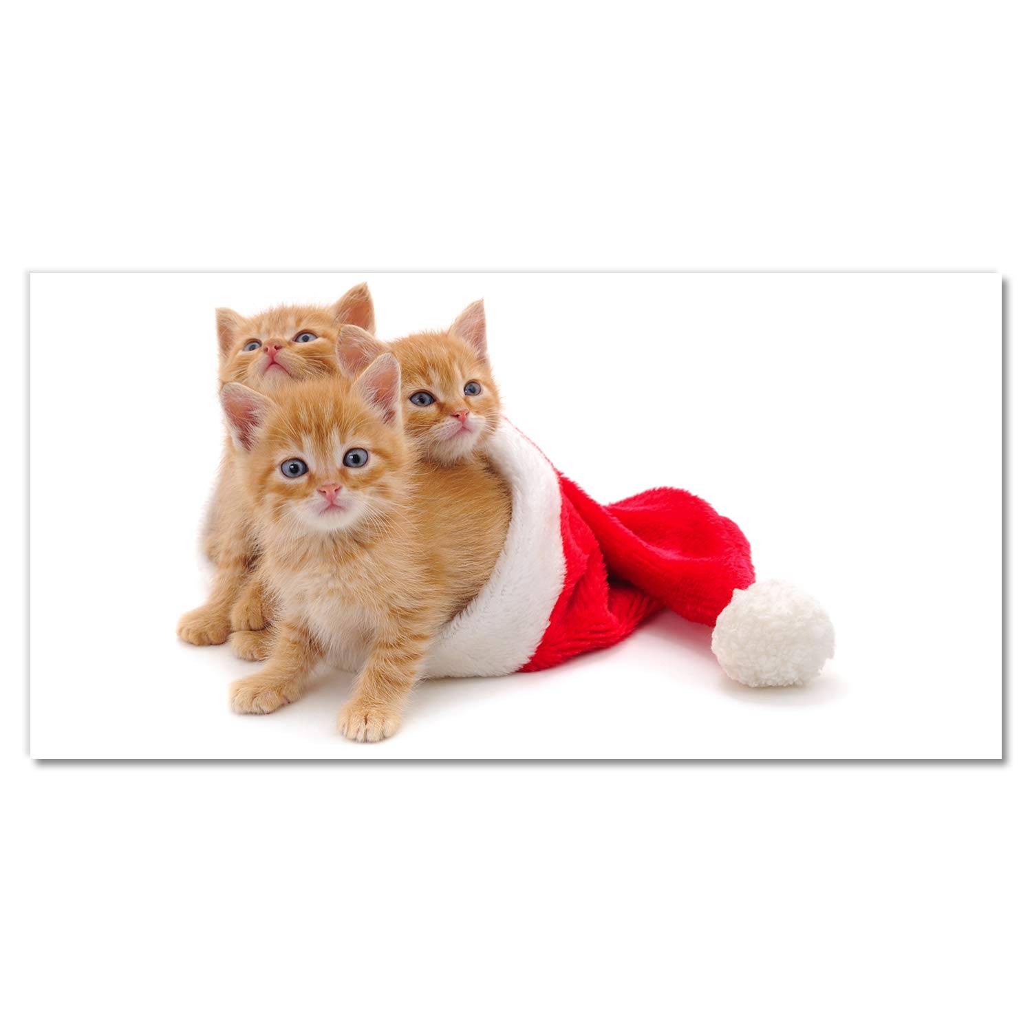 Image Tableaux la Mur Noël en Verre 100x50 cm Cadeau Idéal Chats du Père Noël