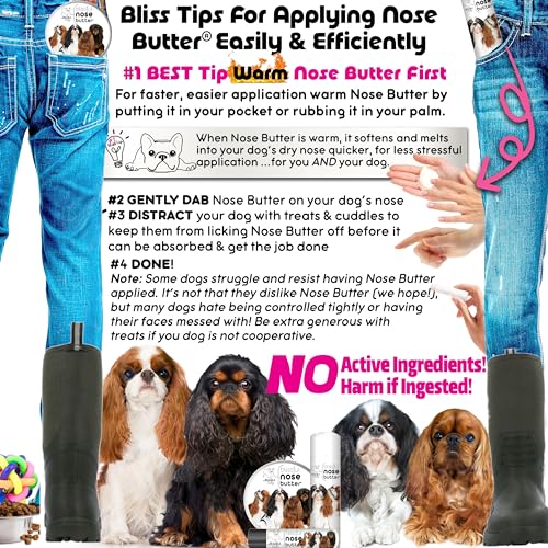 Image of The Blissful Dog English Toy Spaniel Unscented Nose Butter, 16oz