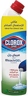Bleach Gel and Cleaner, 750ml, Mint Freshness, Kills 99.9 Percent of Germs, Thick Gel Formula