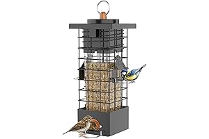 Squirrel-Proof Bird Feeder: Shield Your Feathered Friends from Pesky Pilferers