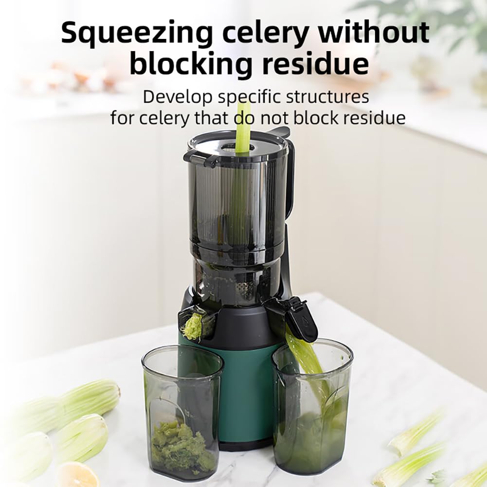 MIIKHI 300W Professional Slow Juicer, Juicer Machines, Cold Press Masticating Juicer with 13cm Feeding Chute, Portable Pomace Separation Juicer Fruit juicer, for Fruits Vegetables gray (G, Green