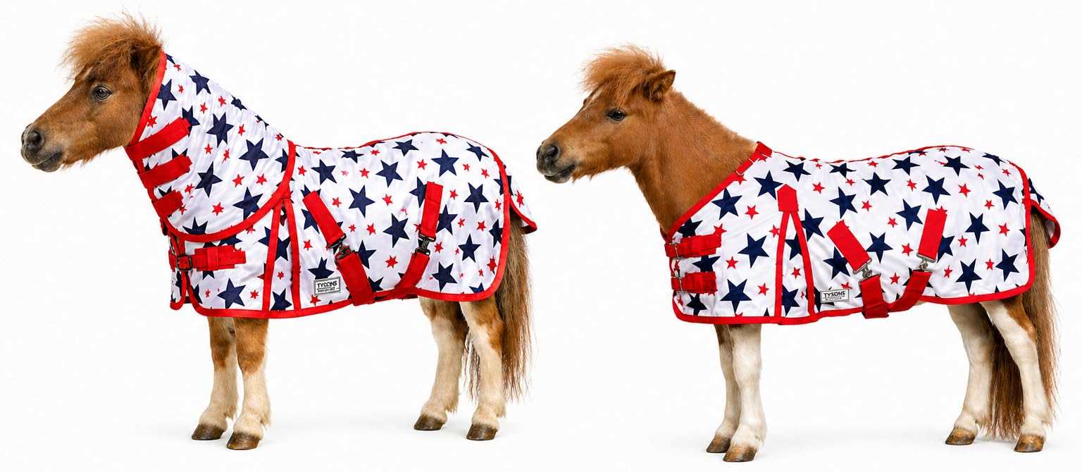 Fliegendecke Minishetty Shetty Welsh Fohlen Falabella 70 75 80 85 90 95 100 cm Sterne Mash Fliegenschutz Sterni Decke Fliegen Decke (80cm)