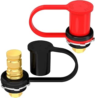 Greluma 1 Pair 250A M10 Battery Charger, 3/8" Stud Remote Control Battery Terminals with Waterproof Lid, 20mm Stud Battery Charger Jumper Post for Car Truck Boat ATV Can