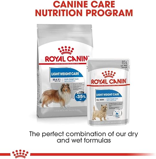 royal canin maxi light