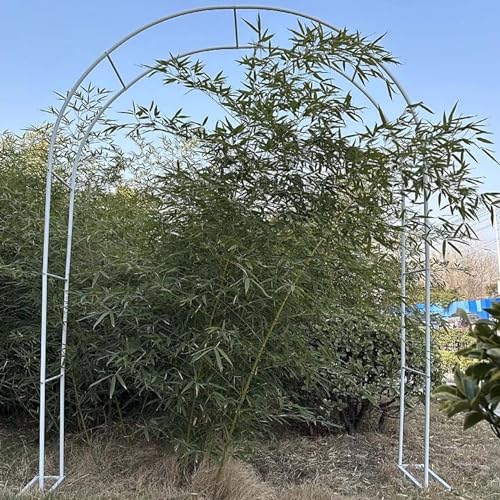 x[Xt K[fA[`O KтȂoA[`gX K[fjOAgȒPp[S K[fjO 80/120/140/180/200/240/280/300/350cm Ao邽߂̃t[A[`(White,240x220CM)