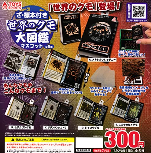 EW{t ẼN}Ӄ}XRbg [S5Zbg(tRv)] K`K` JvZgC