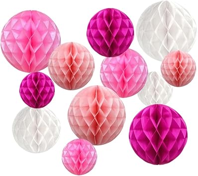 12Pcs White Pink Paper Honeycomb Flower Balls 6 8 10 Decorative Tissue Honeycomb Paper Pom Poms Hanging Flower Balls Craft Kit for Wedding Nursery Room Home Party Decor Pink, White