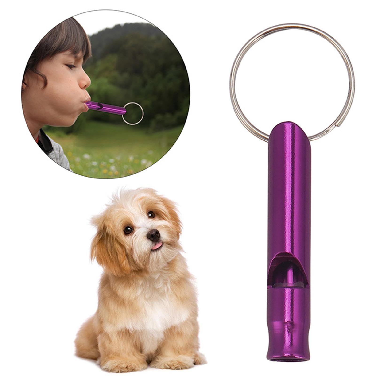 Sifflet de dressage puissant pour chien, chiot, chat, chien, sifflet de dressage pour rappel et dressage de chien, fréquences réglables, ensemble de dressage pour chien