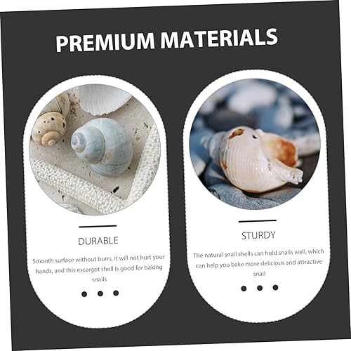 Miniatura 8 de BESPORTBLE 5pcs Natural Escargot Snail Shells Large Conch Shells for Baking Hermit Crab Habitat Heat Insulation Snail Shells for Restaurant