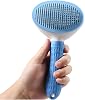 Busstier Automatic Cleaning Cat Dog Comb Blue