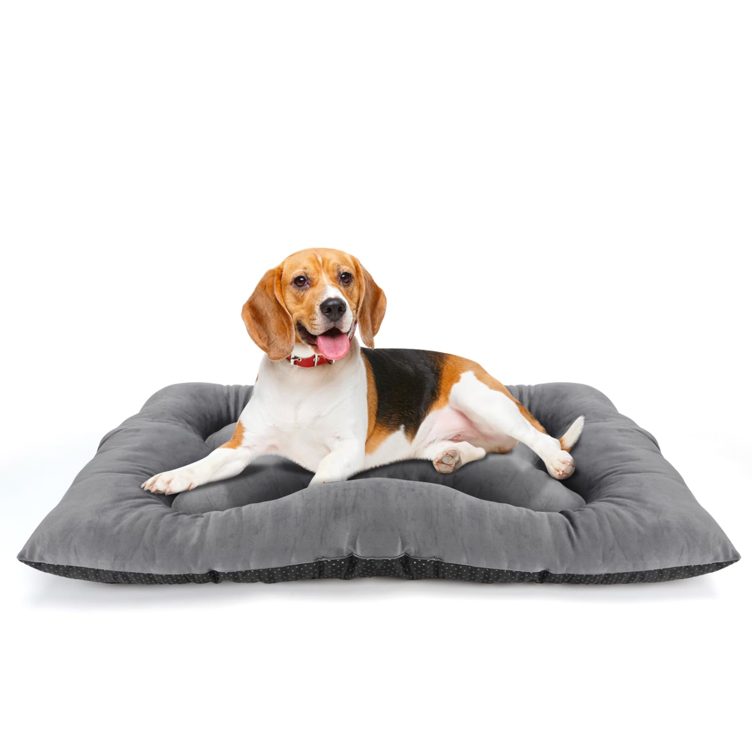 Nobleza Cama para Perro Medianos, Colchoneta para Perros, Cojín Suave para Gatos Y Perros, Colchón Perro Grande Lavable Antideslizante, 80x50x12cm, Gris Claro