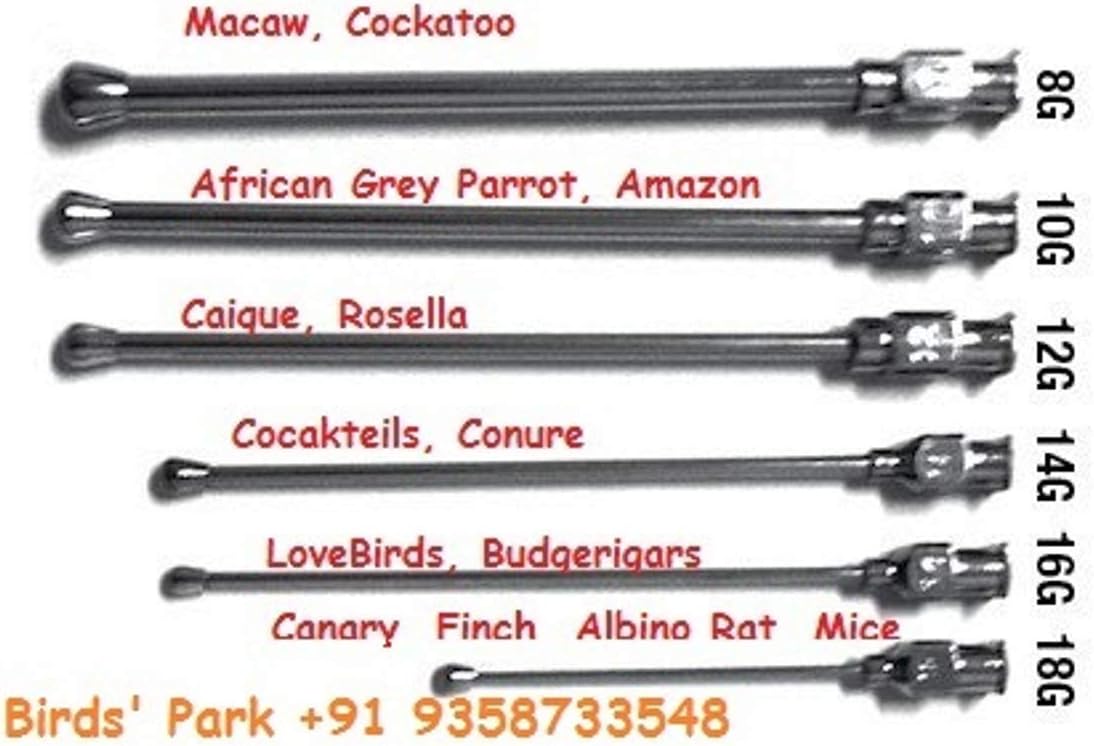 Animal Crop Feeding Straight Needles Oval Tip Reusable For Finch, Grey Parrot & Baby Macaw - 6 pcs set