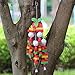 KINTOR Bird Chewing Toy Large Medium Parrot Cage Bite Toys African Grey Macaws Cockatoos Eclectus Amazon (Apple-22inch)