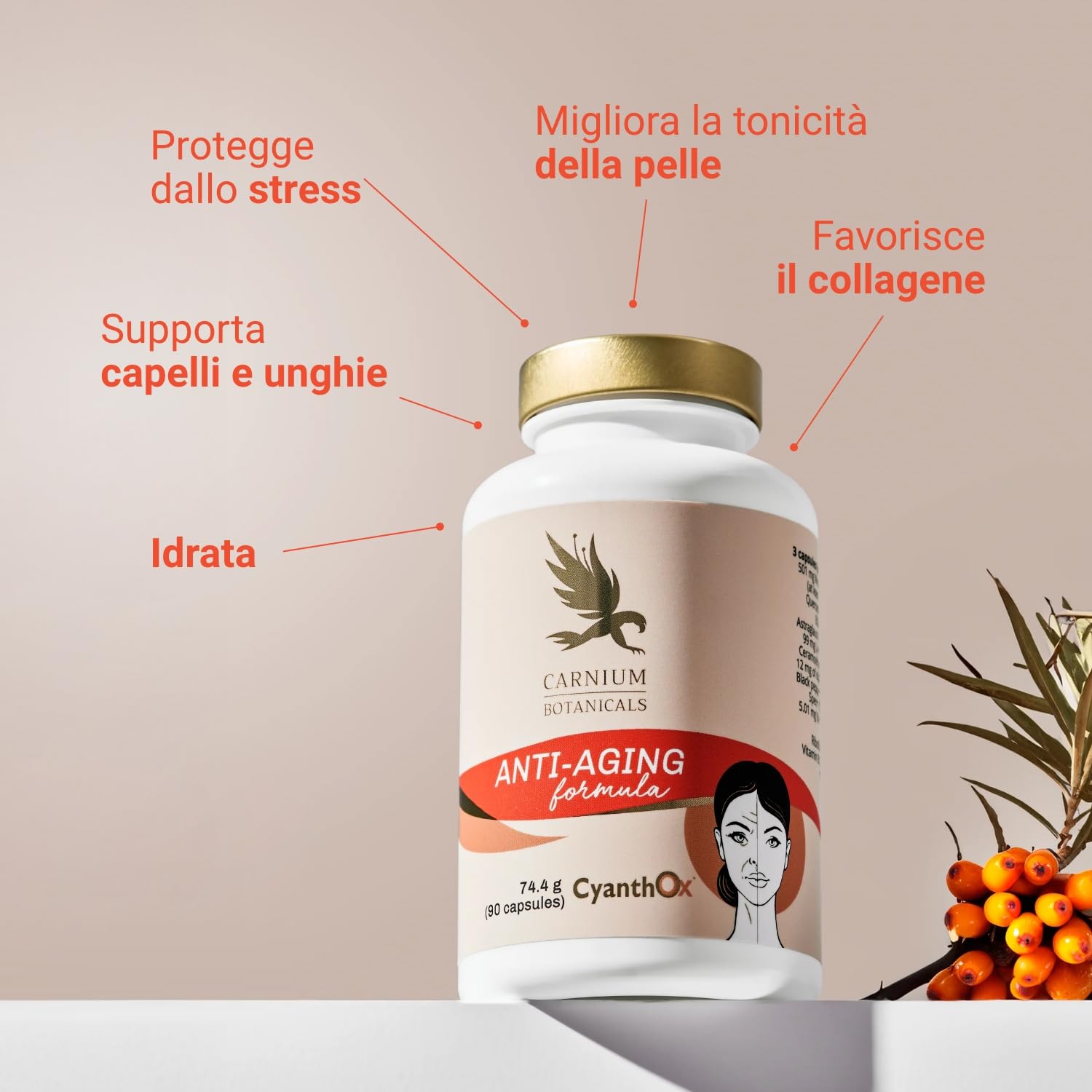 Carnium Botanicals Anti-Aging Formula – Multivitaminico Donna con Vitamina B3, Resveratrolo, Fisetina & Quercetina – Integratore Donna Completo – 90 Capsule Vegane