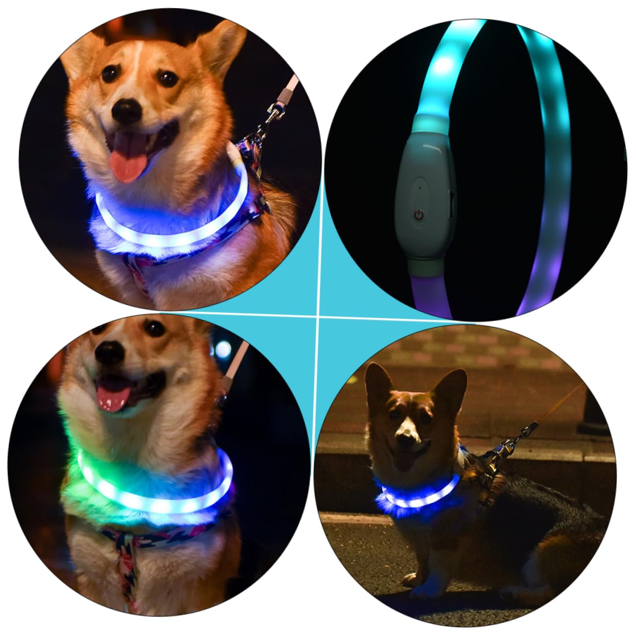 Beavorty 2juegos Collar Led Luminoso para USB Recargable Collar De De Prueba De Agua para Paseos y Seguridad De Mascota