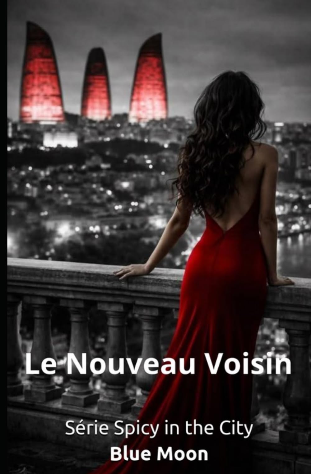 Le Nouveau Voisin: série Spicy in the City