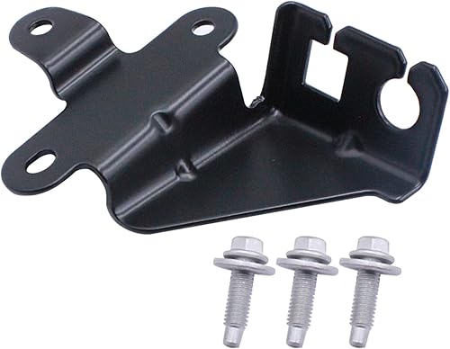LOSTAR Soporte de cable del acelerador LS1 LS2 LS3 LS6 LSX SWAP LQ4 LQ9 LS GM