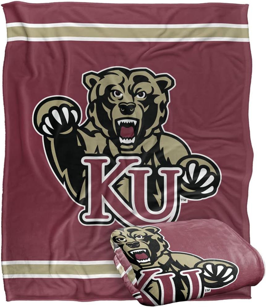 LOGOVISION Official Collegiate Primary Logo Collection Silky Touch Super Soft Throw Blanket Collection
