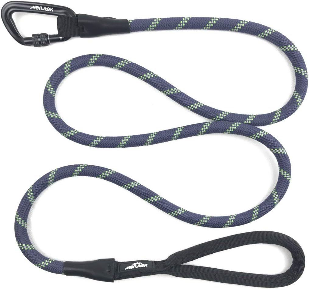 Adventure Dog Leash, Heavy Duty Dog Leash with Padded Handle and Reflective Threads, 6 ft - Graphite Gray