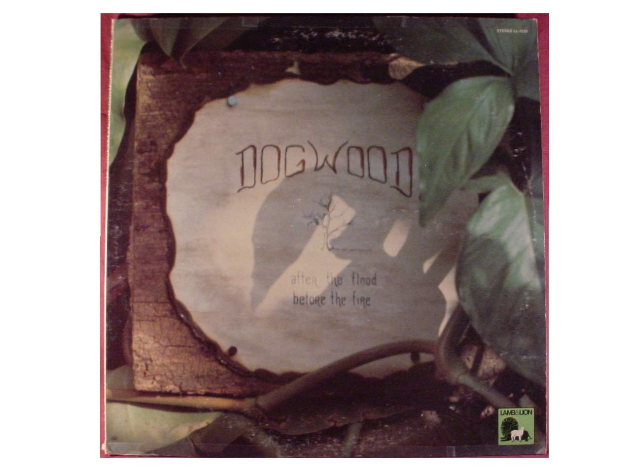 Dogwood After The Flood Before The Fire by Dogwood Record Vinyl Album