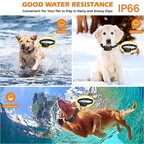 Wireless Dog Fence Collar in action outdoors