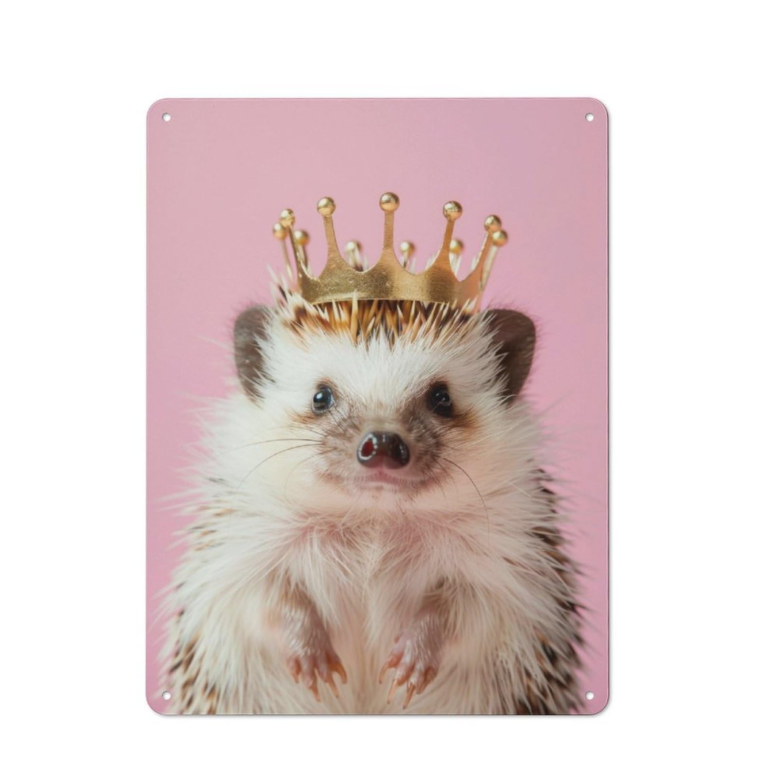 Junmoney Hedgehog King Printed Metal Sign 40X30cm For Hobby Room Or Studio, For Creative Interior Collectors