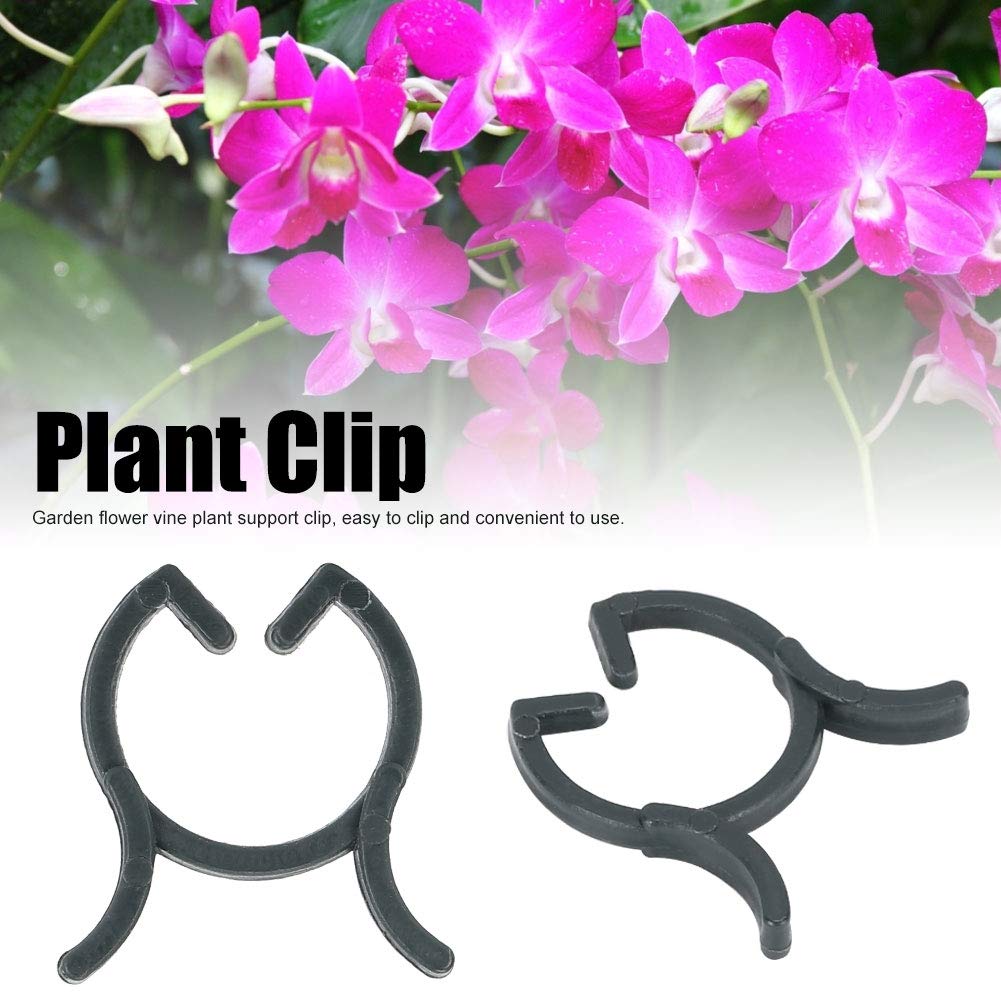 1000 Pcs Plante Clip Plantes Tiges Fixation Support Fleur Et Vigne