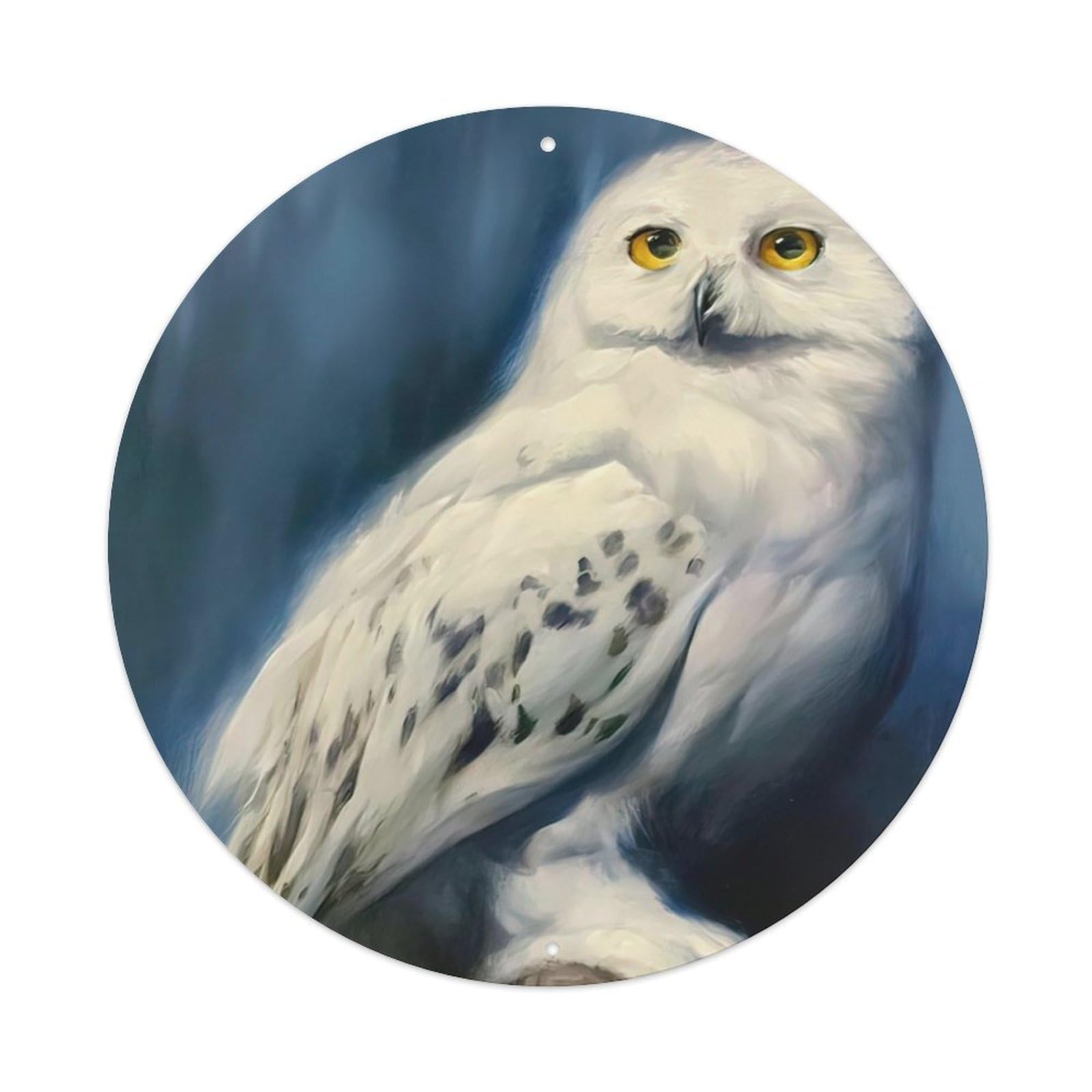 Birds Animal Poster Mystery Totem Owl Metal Tin Sign