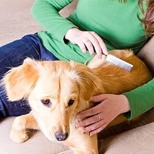 Miniatura 4 de Vet's Best Baño para perros sin agua, champú seco sin enjuague para perros, fórmula natural que refresca el pelaje y controla el olor entre los