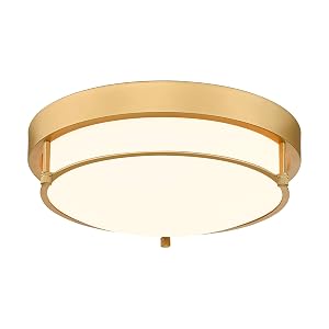 Flush Mount Light Fixture 12 inch 2-Light Modern Ceiling Light with Brass Gold Finish for Hallway Kitchen Laundry