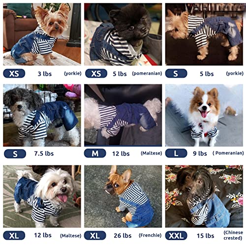 Doggyzstyle Small Dog Hoodie Clothes Cute Stripe Shirts Denim Jumpsuit One-Piece Outfit For Small Medium Dogs Cats Boy Girl Chihuahua Blue Jeans Overalls Puppy Costume (Blue,S) #TOP4