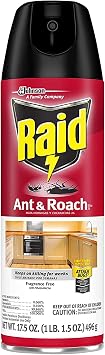 Raid Ant and Roach Killer, Fragrance Free, 17.5 OZ