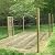forimo 24'' x 50' 1/4inch Hardware Cloth 23 Gauge Black Vinyl Coated Welded Fence Mesh for Home and Garden Fence and Home