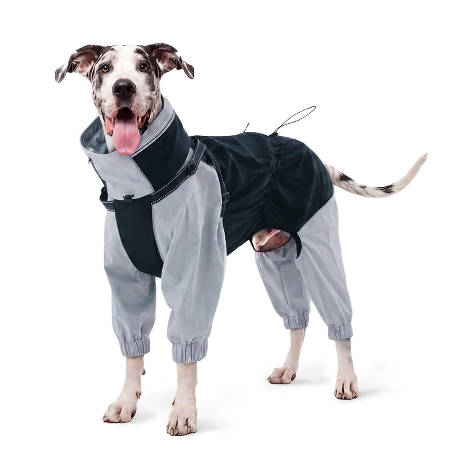 IECOii Hundejacke wasserdicht kleine Hunde Full-Body 4-Leg mit versteckter Kapuze,Reißverschluss und Built-in Harness – Hundejacke Regen,wasserabweisend,leicht,atmungsaktiv,Outdoor,Spaziergänge