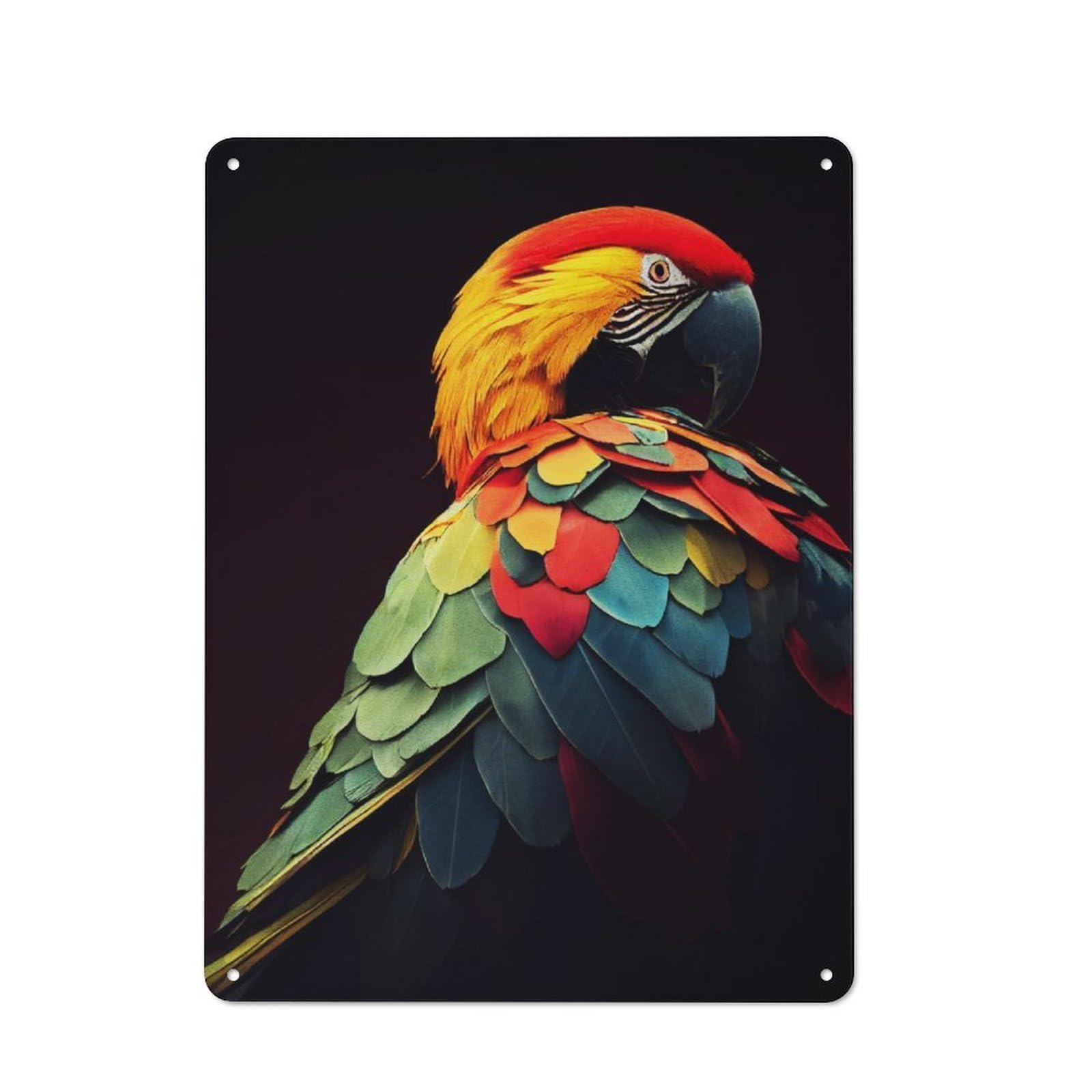 Junmoney Judgmental Parrot Retro Printed Metal Sign 40X30cm For Kitchen Or Home Bar, For Garage, Workshop And Man Cave Decoration