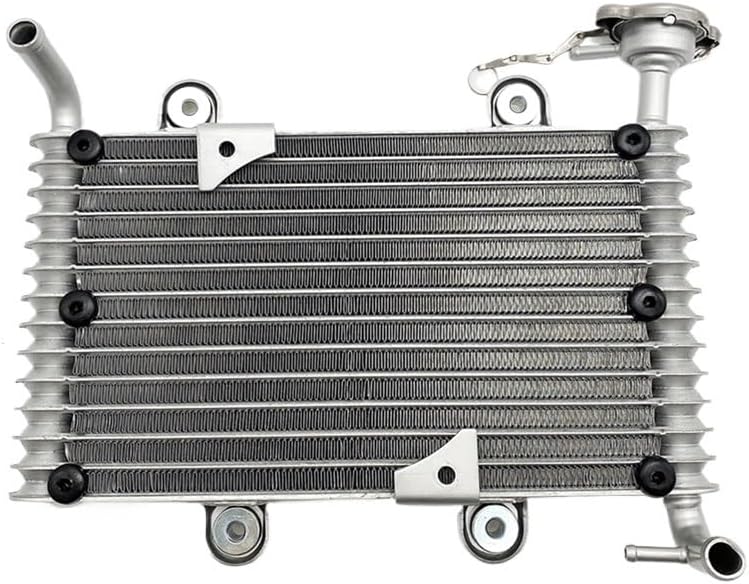 Cooling Radiator For 200 200CC 250CC BS200 BS200S-7 ATV Quad