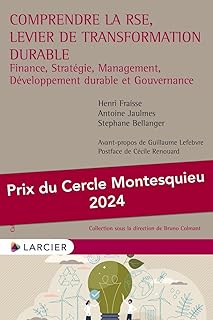 Comprendre la RSE, levier de transformation durable - Finance, Strat&eacute;gie, Management, D&eacute;veloppement durable et Gouvernance